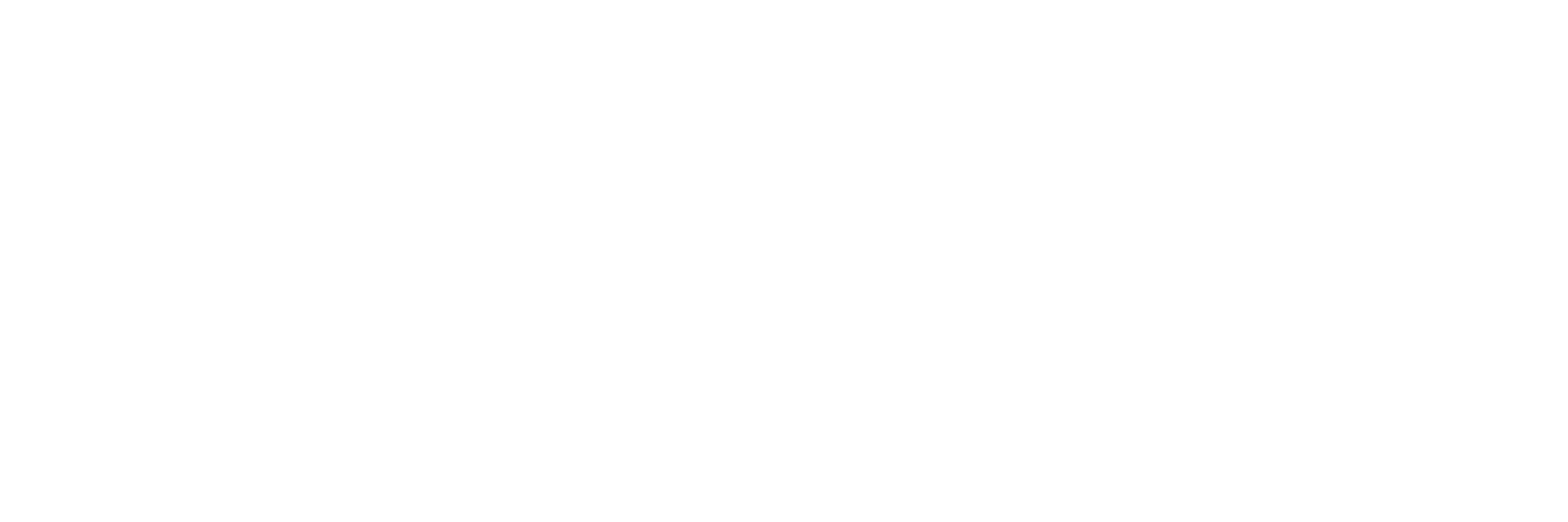 Admanage.ai admanage-wordmark-white - PNG format